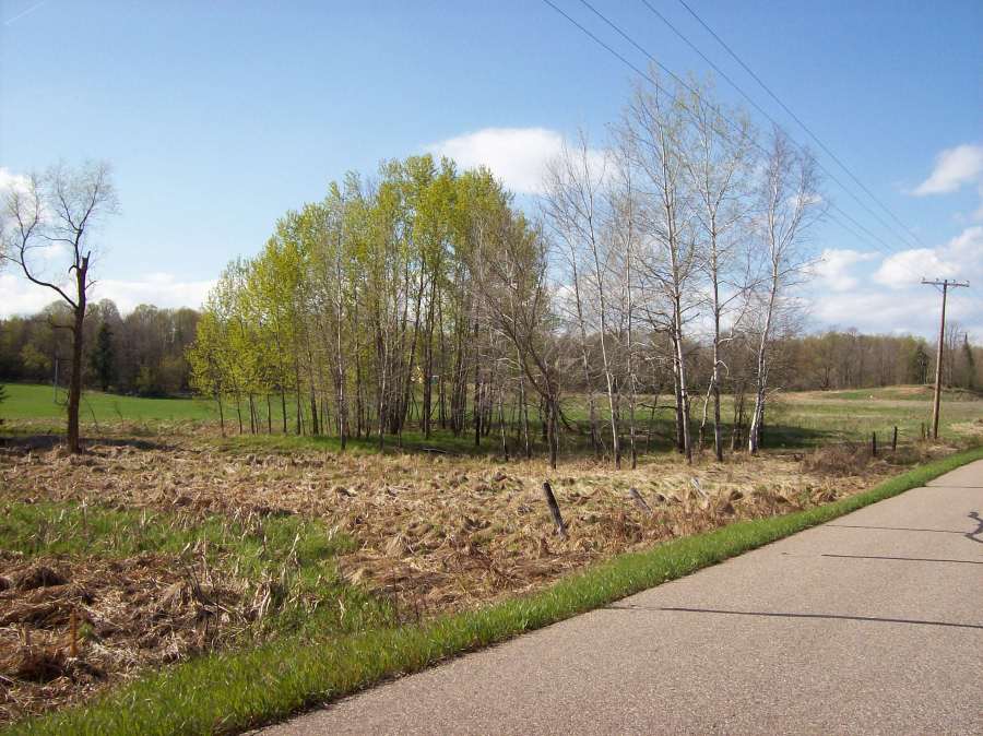 QUEST Civil Engineers, LLC Services